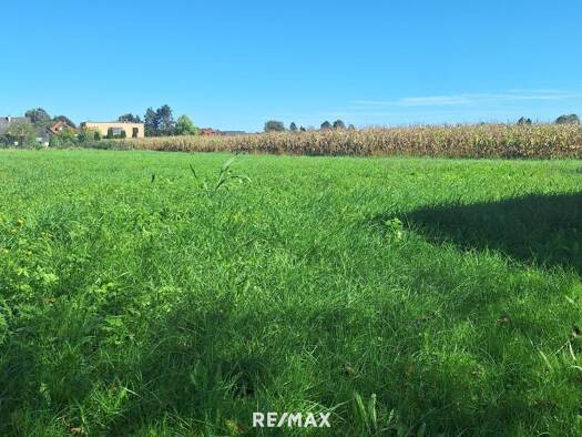 Grundstück zum Kauf 59.000 € 630 m² Grundstück Straß in Steiermark 8472