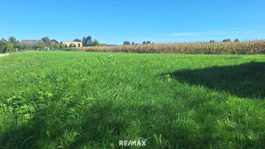 Grundstück zum Kauf 59.000 € 630 m² Grundstück Straß in Steiermark 8472