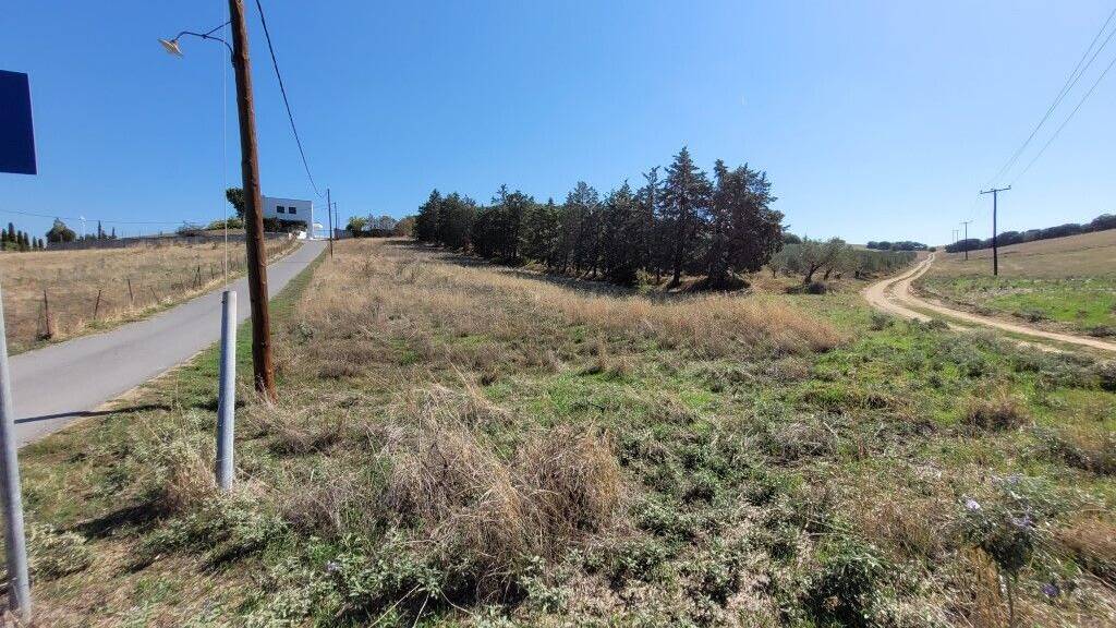 Land-/Forstwirtschaft zum Kauf 150.000 € 2.900 m² Grundstück Thessaloniki