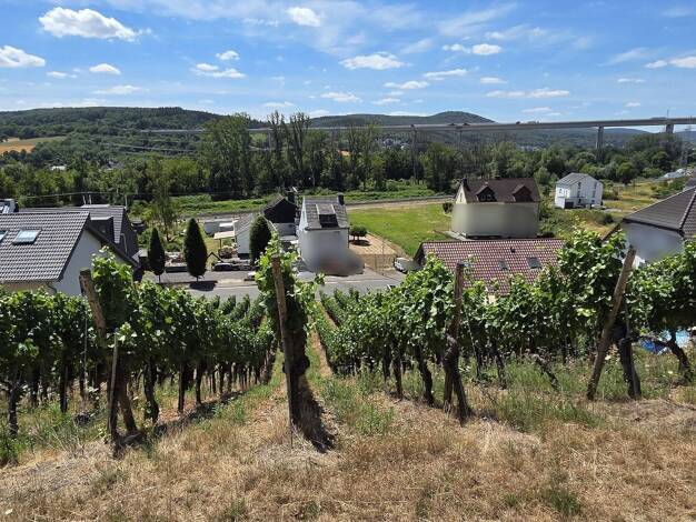 Grundstück zum Kauf provisionsfrei 198.000 € 933 m² Grundstück frei ab 01.11.2026 Landskroner Straße Heppingen Bad Neuenahr-Ahrweiler 53474