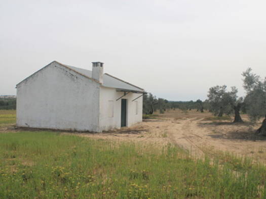 Bauernhaus zum Kauf provisionsfrei 163.000 € 2 Zimmer 120 m² 100.000 m² Grundstück Rociana del Condado 21720