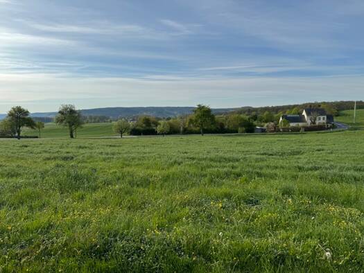 Grundstück zum Kauf 156.750 € 1.045 m² Grundstück Nusbaum 54675