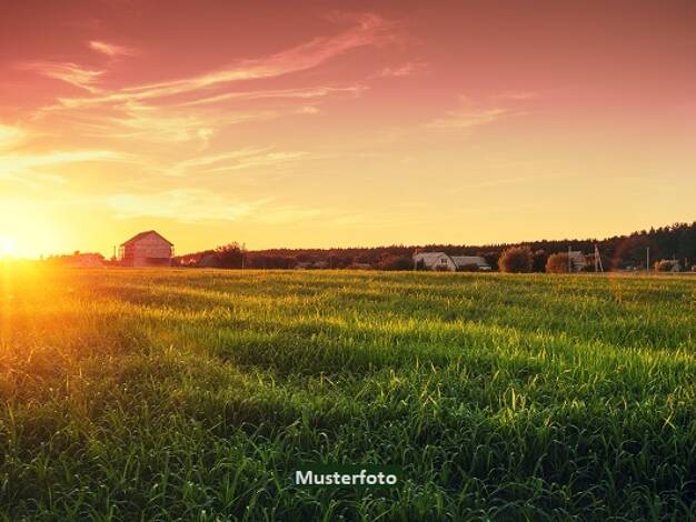 Land-/Forstwirtschaft zum Kauf 10.000 € 2.532 m² Grundstück Pfaffenheck Nörtershausen 56283