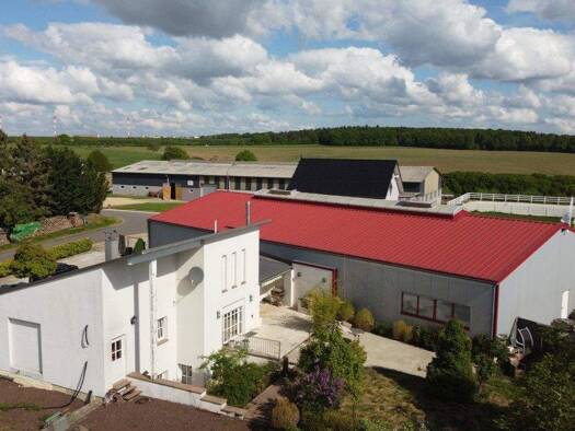 Haus zum Kauf 570.000 € 12 Zimmer 173 m² 5.385 m² Grundstück Binsfeld 54518