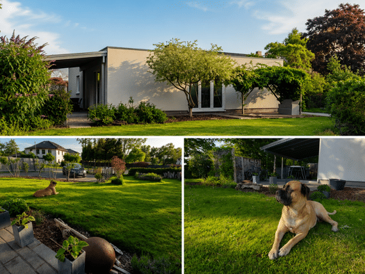 Einfamilienhaus zur Miete 1.900 € 4 Zimmer 120 m² 1.000 m² Grundstück frei ab 01.01.2027 Bartenshagen Bartenshagen-Parkentin 18209