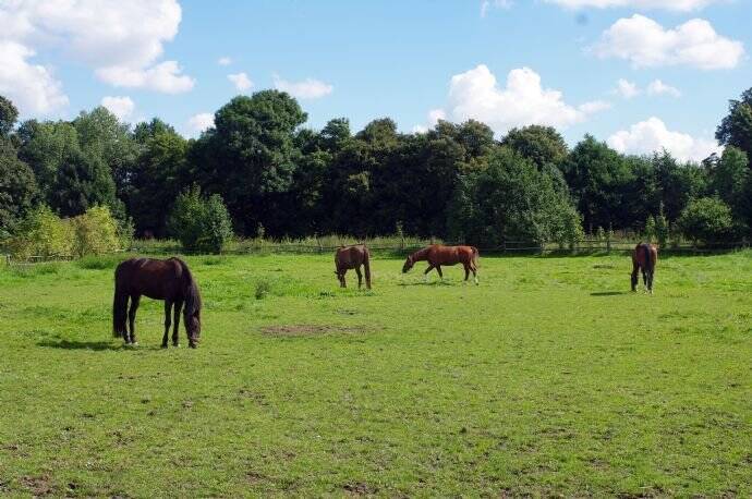 Property thumbnail 26