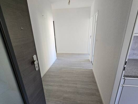 Wohnung zur Miete 900 € 2,5 Zimmer 64 m² Geschoss 1/6 frei ab sofort Wollmatingen Konstanz 78467