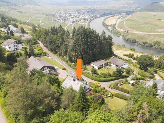 Mehrfamilienhaus zum Kauf 549.000 € 6 Zimmer 162 m² 1.400 m² Grundstück Leiwen-Zummeterhof 54340