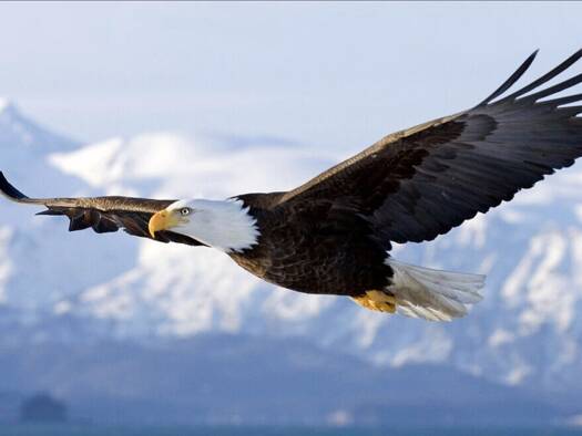 Einfamilienhaus zum Kauf 444.358 € 5 Zimmer 145 m² 1.038 m² Grundstück Rhinow 14728