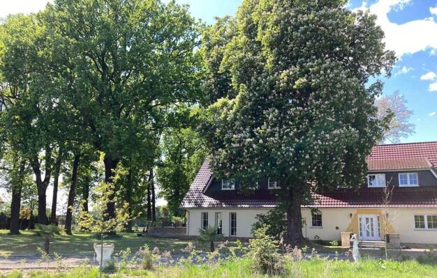 Villa zum Kauf provisionsfrei 955.000 € 9 Zimmer 404 m² 20.500 m² Grundstück Messingen 49832