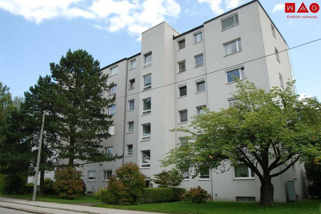 Wohnung – Linz, Keferfeld, Bindermichl-Keferfeld - Ansicht 3