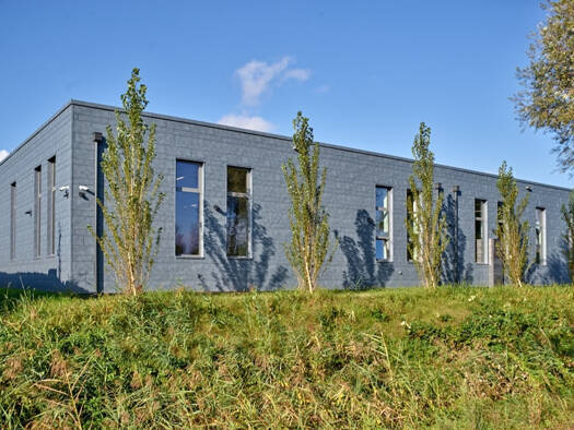 Werkstatt zur Miete 345,2 m² Lagerfläche Lustenau 6890