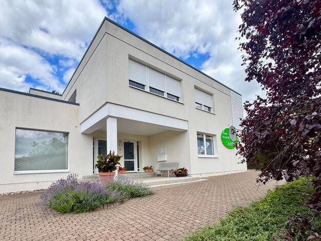Haus zum Kauf 590.000 € 13 Zimmer 280 m² 2.398 m² Grundstück Schulstraße 18 Lengenfeld unterm Stein Südeichsfeld 99976