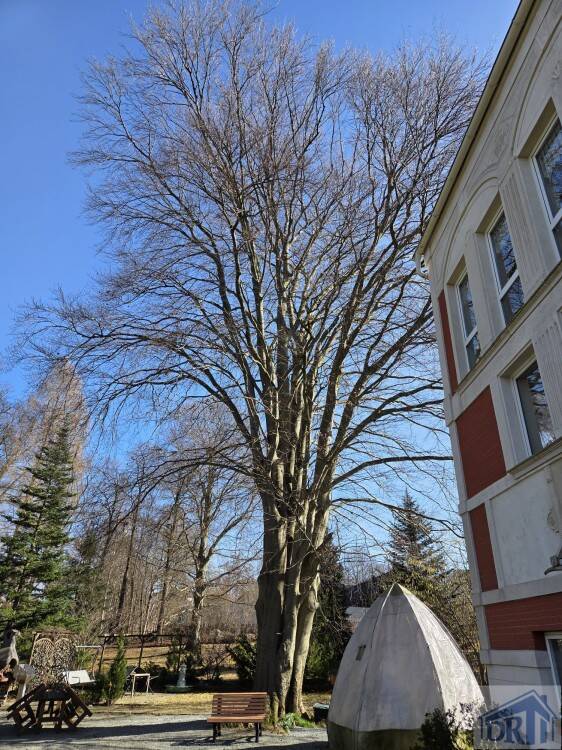 Mehrfamilienhaus zum Kauf - Widok 3