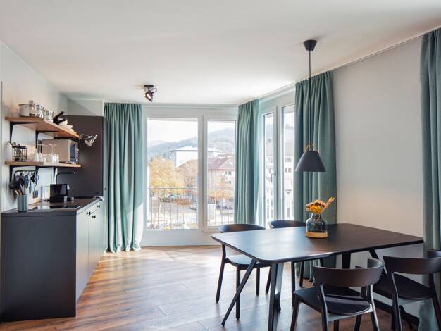 Wohnung zur Miete Wohnen auf Zeit 2.760 € 2 Zimmer 39 m² frei ab sofort Brühl Freiburg im Breisgau 79106