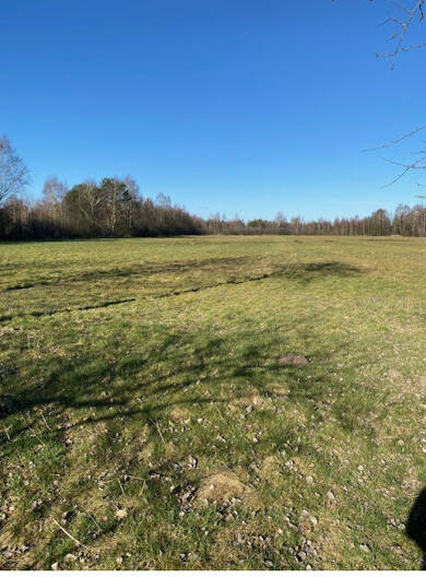 Land-/Forstwirtschaft zum Kauf provisionsfrei 23.596 m² Grundstück Barnstorf 49406