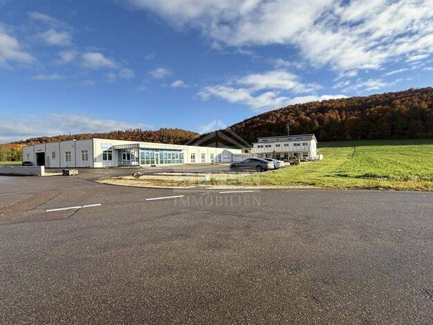 Lagerhalle zum Kauf 2.480.000 € 1.625 m² Lagerfläche Schnaitheim Heidenheim an der Brenz 89520