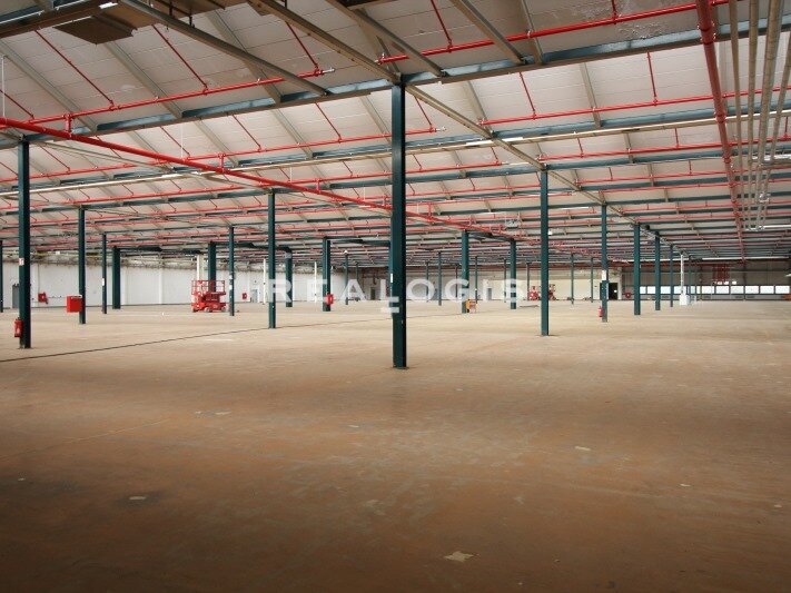 Halle/Industriefläche zur Miete 5.000 m²<br/>Lagerfläche Mutterstadt 67112