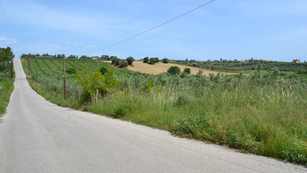 Land-/Forstwirtschaft zum Kauf 70.000 € 4.600 m² Grundstück Chalkidiki