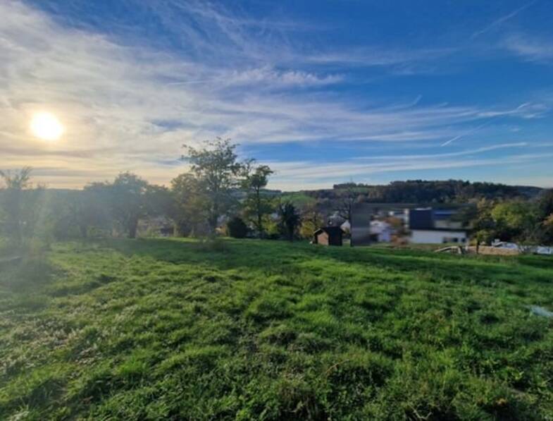 Grundstück zum Kauf 319.000 € 1.308 m² Grundstück Höhenstraße 6 Neckarbischofsheim Neckarbischofsheim 74924