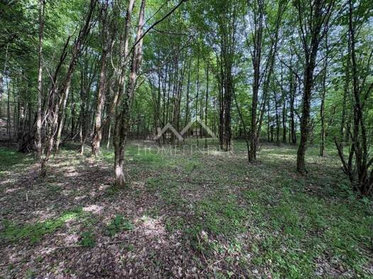 Acker-/Waldstück zum Kauf 10.000 € Stari Farkašić, Lekenik Lekenik 44272