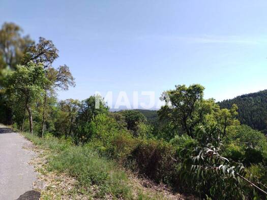 Grundstück zum Kauf 55.000 € 16.440 m² Grundstück Monchique 8550-302