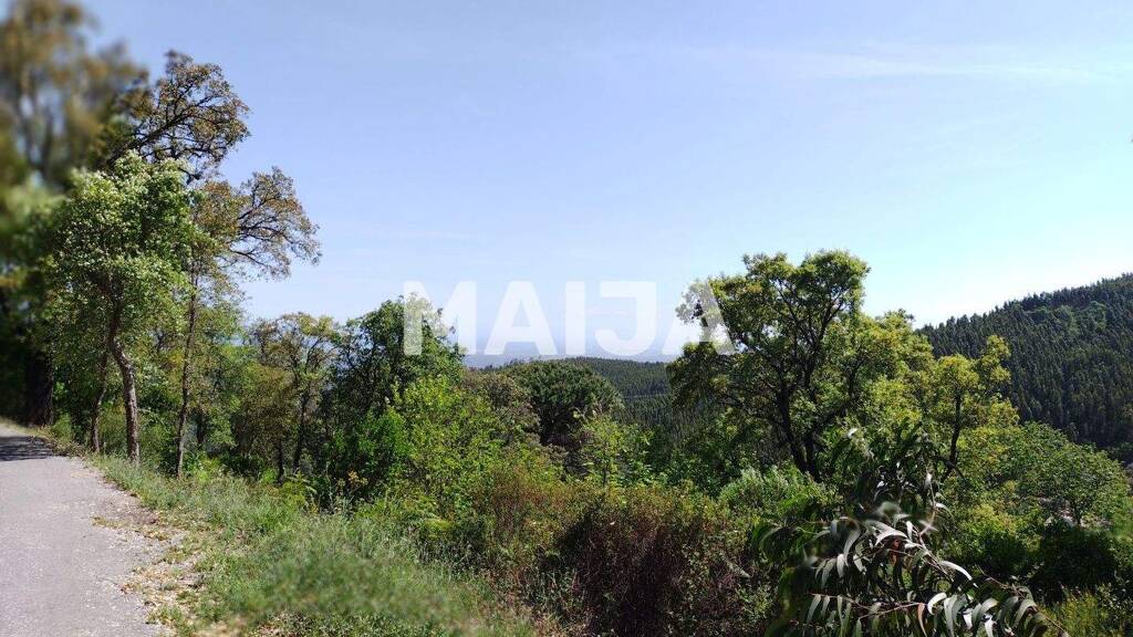 Grundstück zum Kauf 55.000 € 16.440 m² Grundstück Monchique 8550-302