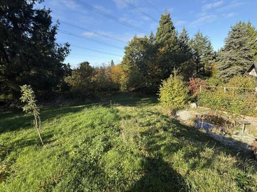 Grundstück zum Kauf 425.000 € 1.042 m² Grundstück Wildsachsen Hofheim 65719