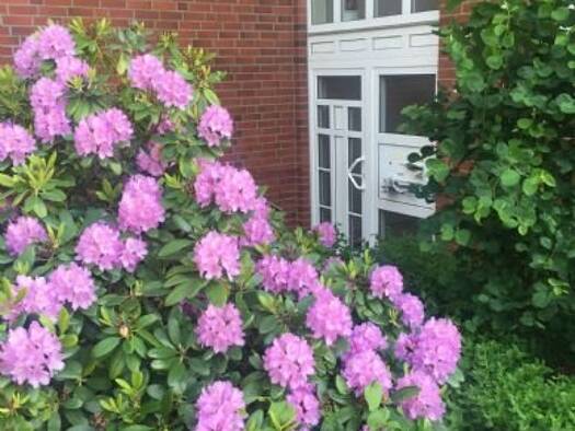 Wohnung zur Miete 590 € 2 Zimmer 65 m² Geschoss 1/3 frei ab 01.01.2026 Harburger Straße 70a Stade 21680