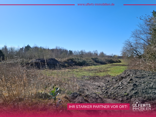 Land-/Forstwirtschaft zum Kauf 35.000 € 6.179 m² Grundstück Warsingsfehn Moormerland 26802