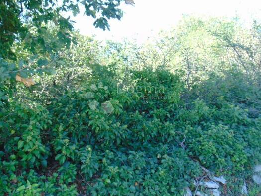 Acker-/Waldstück zum Kauf 42.000 € Sveti Lovreč Lovreć 52440