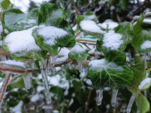 Grundstück zum Kauf provisionsfrei 580.000 € 1.020 m² Grundstück Biesdorf Berlin 12683