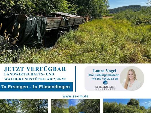 Sonstiges zum Kauf als Kapitalanlage geeignet 9.689 m² 221 m² Grundstück Ellmendingen Keltern 75210
