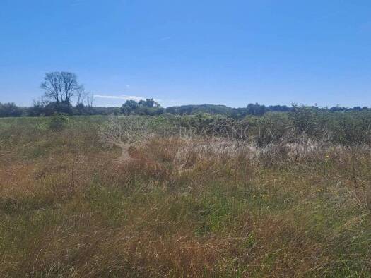 Acker-/Waldstück zum Kauf 375.000 € Umag 52470