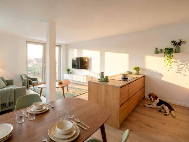 Wohnung zum Kauf - Neubau 375.999 € 3 Zimmer 79,4 m² EG Biberach 77781