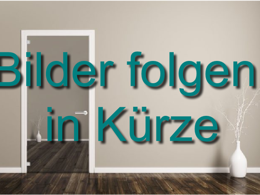 Wohnung zur Miete 750 € 3 Zimmer 75 m² Geschoss 1/2 frei ab 01.12.2025 Mückenloch Neckargemünd 69151