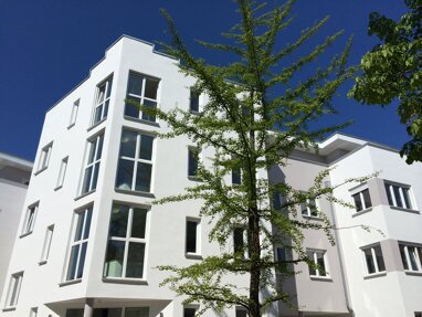 Studio zum Kauf 210.000 € 3 Zimmer 72 m² Elversberg Spiesen-Elversberg 66583