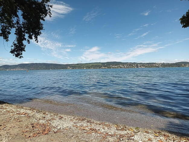 Wohnung zur Miete 1.598 € 1,5 Zimmer 39,9 m² EG Zum Hofgut 1 Wallhausen Konstanz 78465