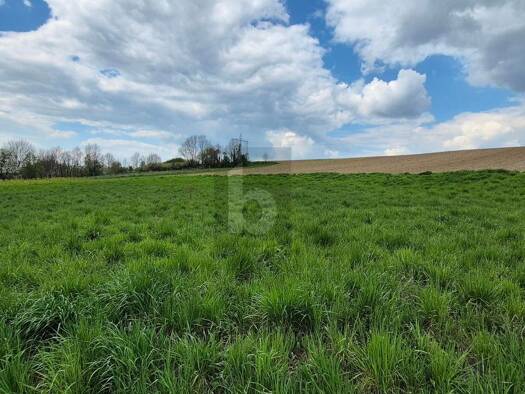 Grundstück zum Kauf 189.000 € 1.512 m² Grundstück Prinzersdorf 3385