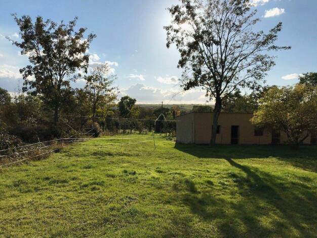 Sonstiges zum Kauf 114.000 € 3.000 m² Grundstück Mücheln Wettin-Löbejün OT Mücheln 06193