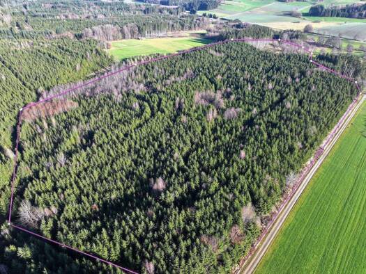 Sonstiges zum Kauf als Kapitalanlage geeignet 429.000 € 123.084 m² Grundstück Olgishofen Kirchhaslach 87755