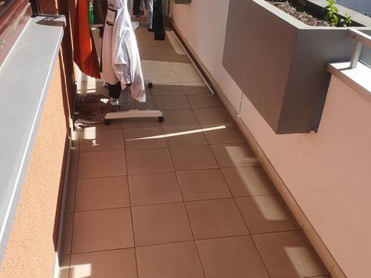 Wohnung zur Miete 836 € 3 Zimmer 76 m² Geschoss 1/4 frei ab 01.09.2026 Allersberger Straße 171 Glockenhof Nürnberg 90461