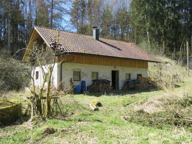 Haus zum Kauf 295.000 € 113 m² 11.435 m² Grundstück frei ab sofort Perasdorf Perasdorf 94366
