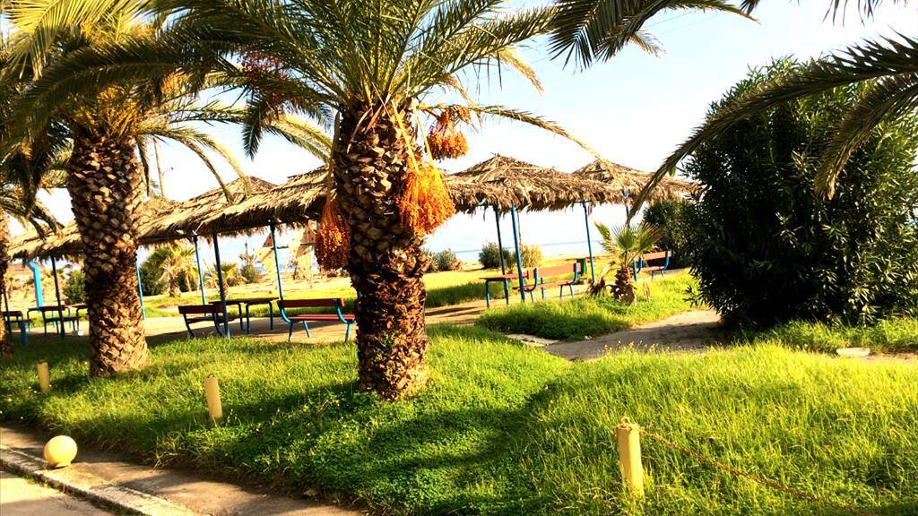 Einfamilienhaus zum Kauf 1.300.000 € 4 Zimmer 140 m² 8.500 m² Grundstück Westpeloponnes