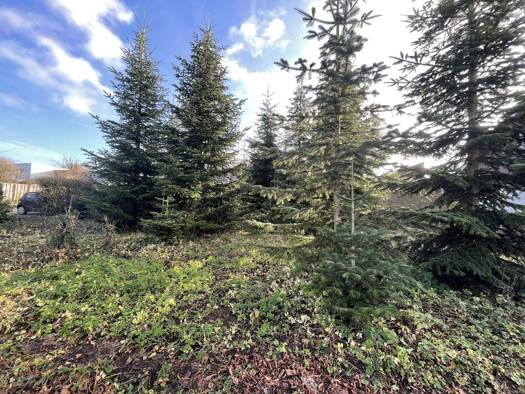 Grundstück zum Kauf 221.250 € 590 m² Grundstück Coesfeld 48653