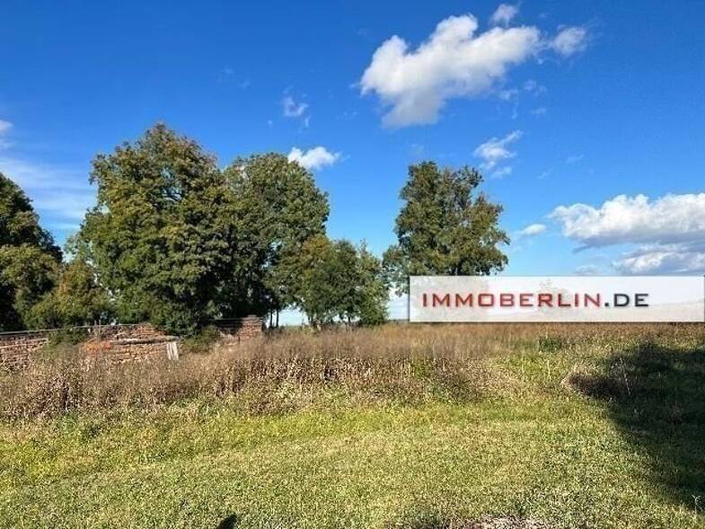 Einfamilienhaus zum Kauf 109.000 € 3 Zimmer 88 m² 3.780 m² Grundstück frei ab sofort Arenzhain Doberlug-Kirchhain 03253