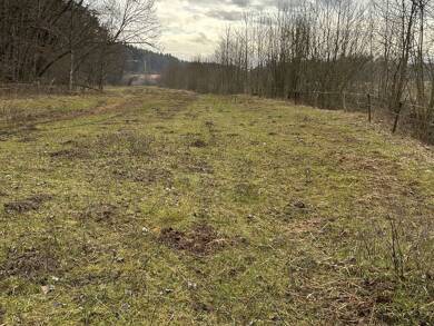 Land-/Forstwirtschaft zum Kauf 147.000 € 9.170 m² Grundstück Kammer Nußdorf 83365