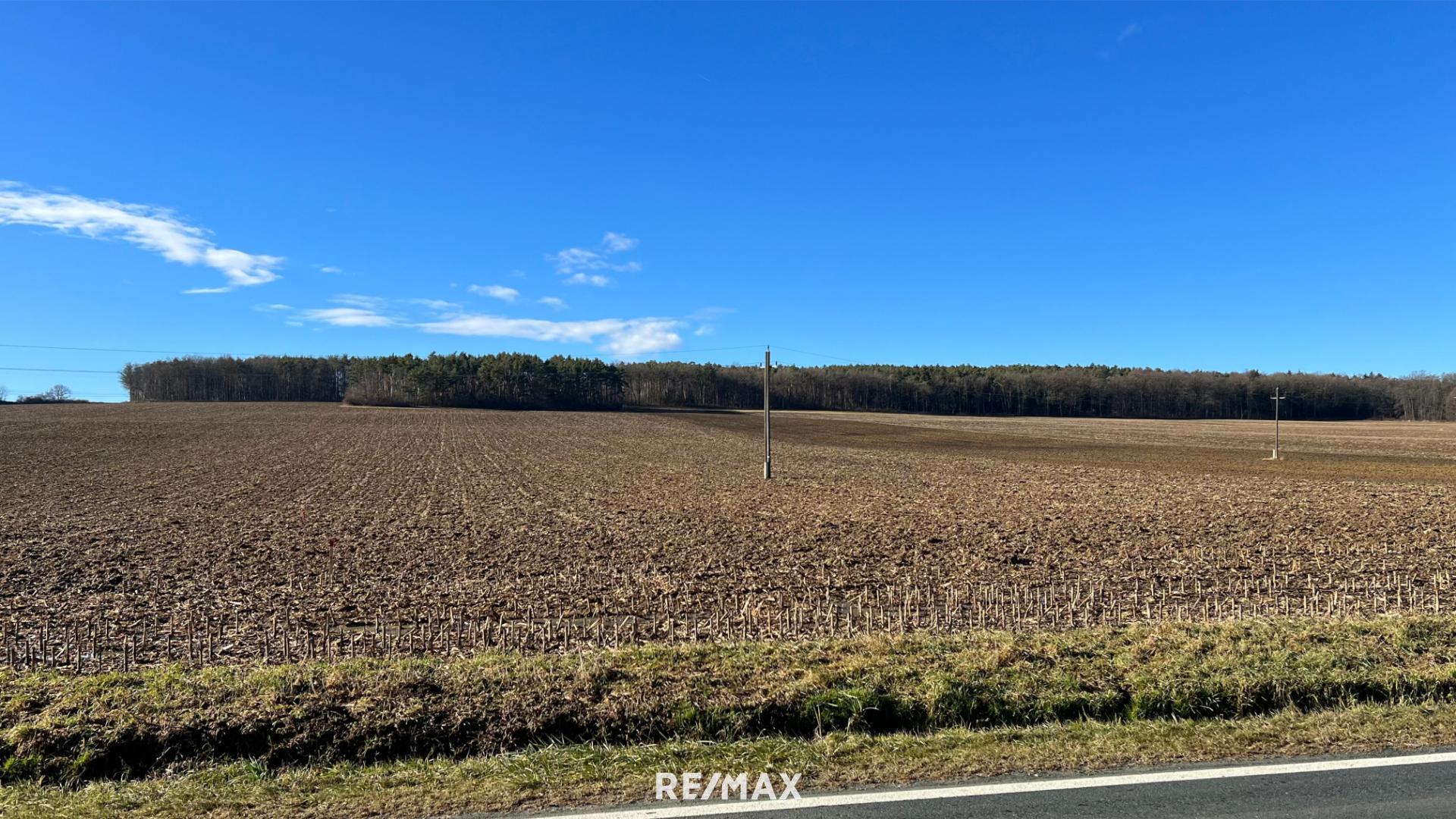 Landwirtschaftliche Fläche zum Kauf 279.950 m²<br/>Grundstück Oberwart 7400