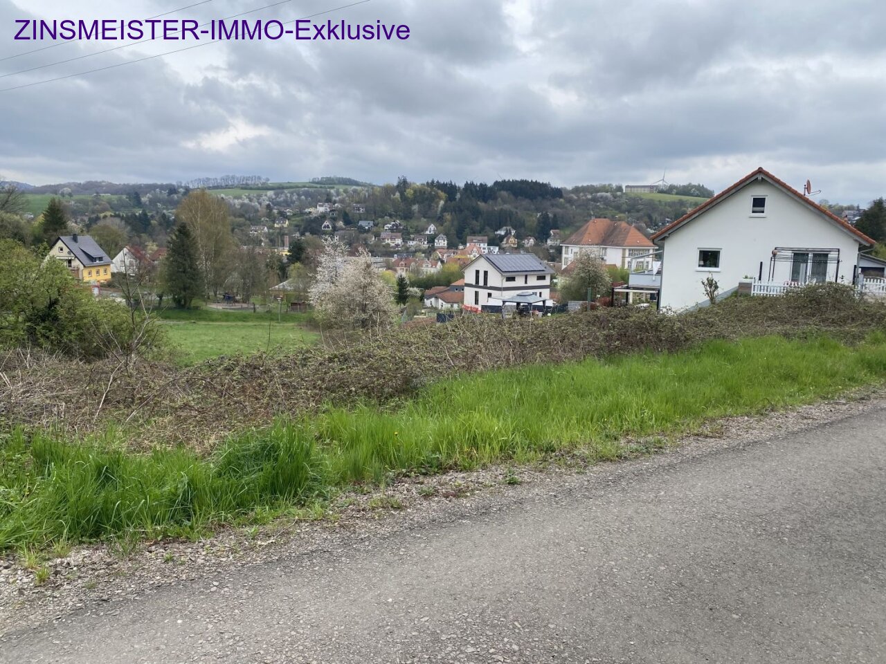 Grundstück zum Kauf 75.000 € 1.149 m²<br/>Grundstück Kusel Kusel 66869