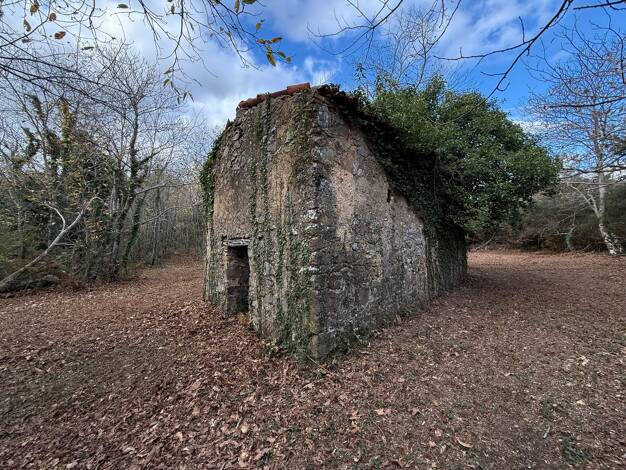 Grundstück zum Kauf 45.000 € 22.190 m² Grundstück Massa Marittima 58024